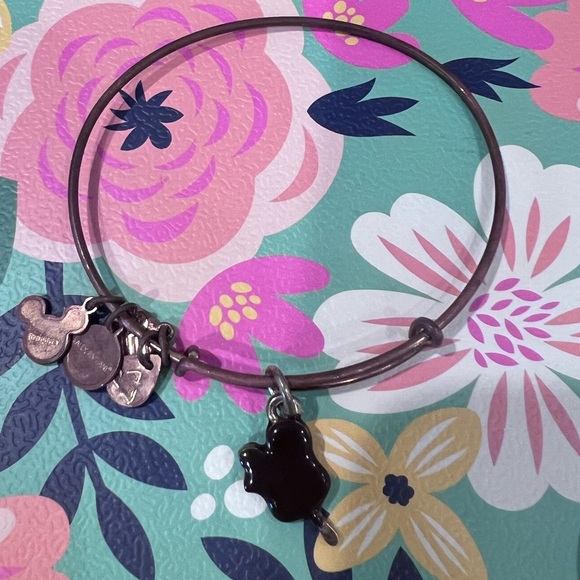 Disney parks Mickey bar Alex and Ani - Picture 3 of 5